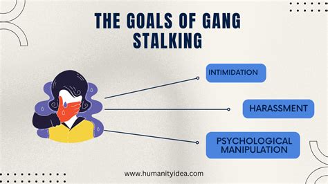 what is a gang stalker